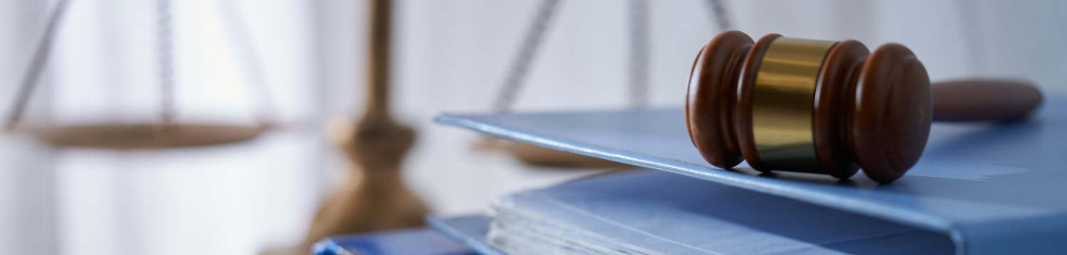 legal book
